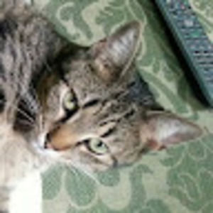 Meet your Posher, Paula